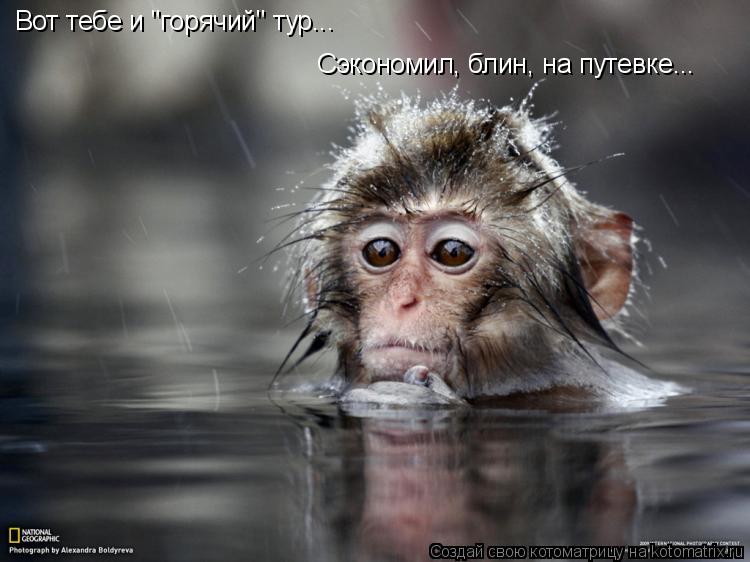 Котоматрица: Вот тебе и "горячий" тур...  Сэкономил, блин, на путевке...