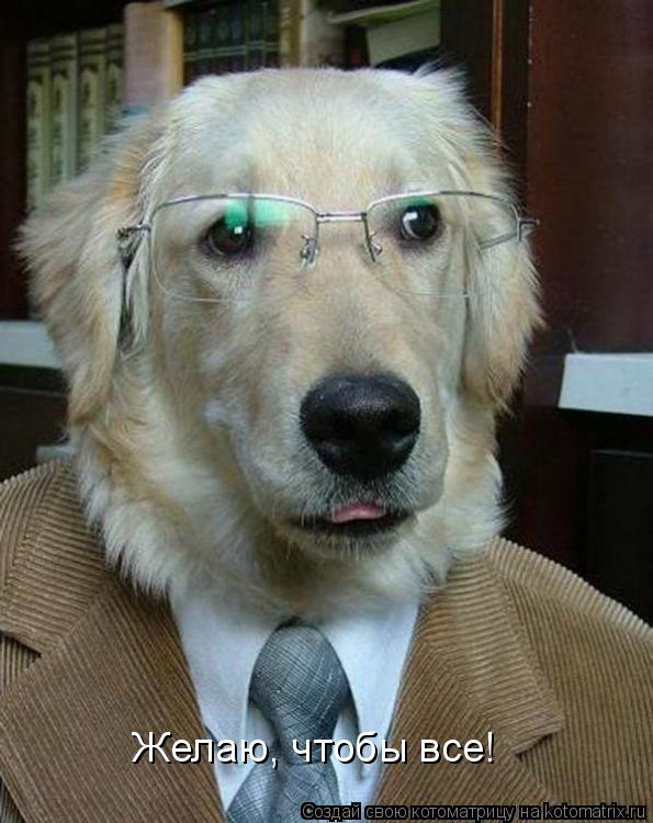 Котоматрица: Желаю, чтобы все!