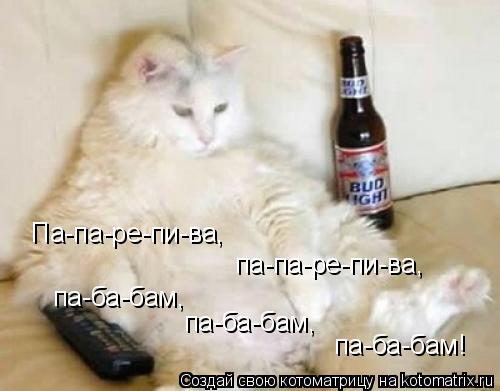 Котоматрица: Па-па-ре-пи-ва, па-па-ре-пи-ва, па-ба-бам, па-ба-бам, па-ба-бам!