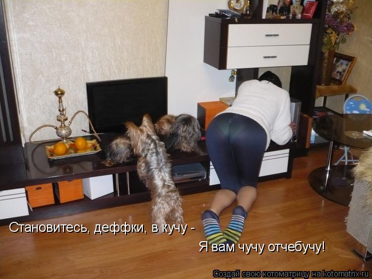 Котоматрица: Становитесь, деффки, в кучу - Я вам чучу отчебучу!