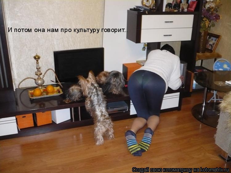 Котоматрица: И потом она нам про культуру говорит..