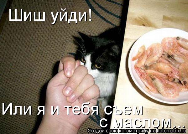 Котоматрица: Шиш уйди! с маслом... Или я и тебя съем