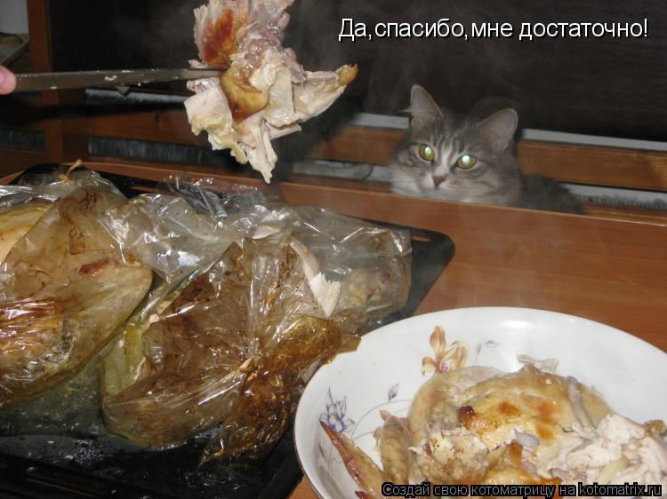 Котоматрица: Да,спасибо,мне достаточно!