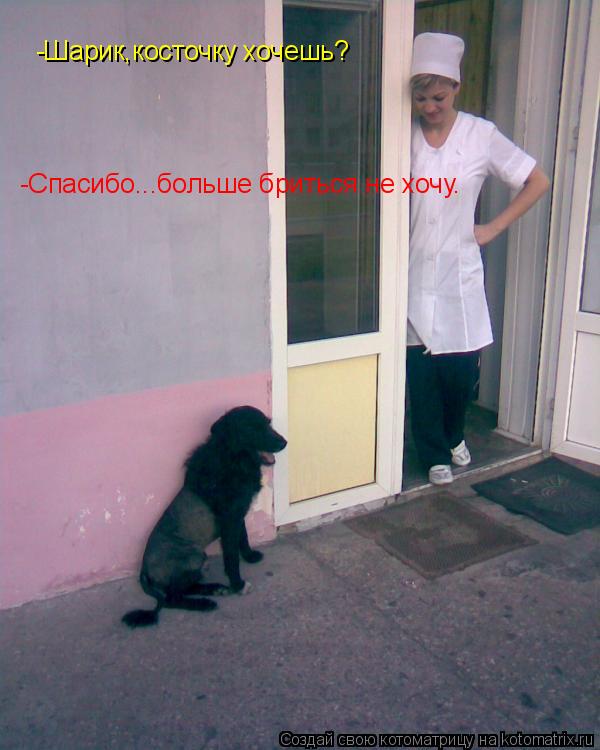 Котоматрица: -Шарик,косточку хочешь? -Спасибо...больше бриться не хочу.