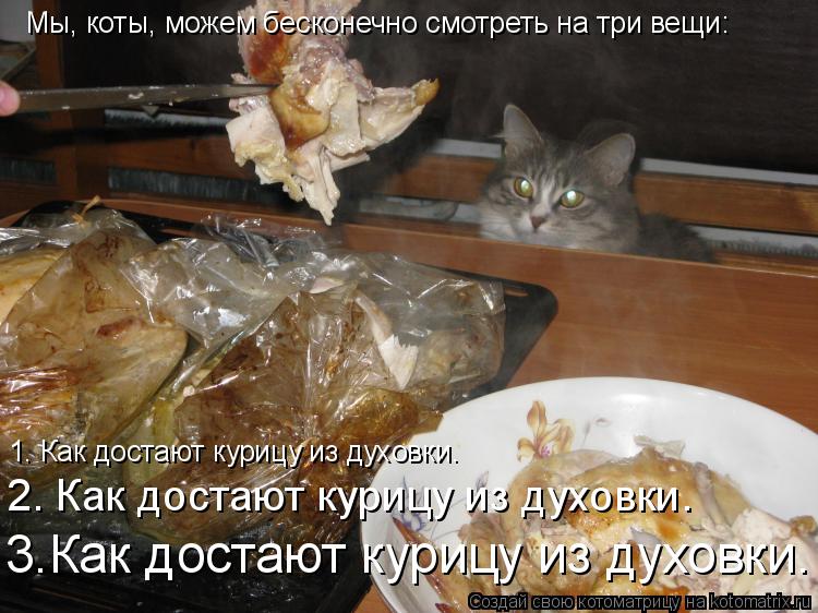 Мы, коты, можем бесконечно смотреть на три вещи: 1. Как достают курицу из духовки. 2. Как достают кур... Котоматрица: Мы, коты, можем бесконечно смотреть на три вещи: 1. Как достают курицу из духовки. 2. Как достают курицу из духовки. 3.Как достают курицу из духо