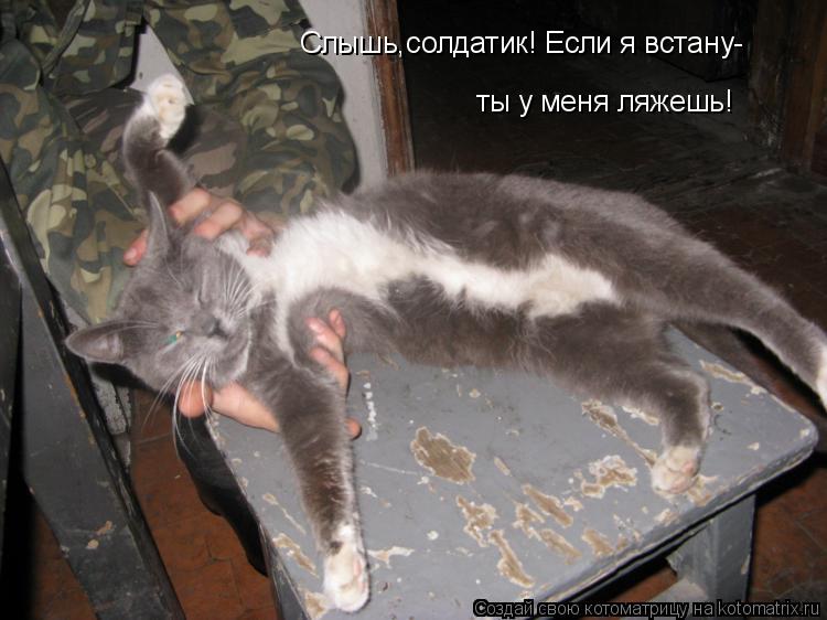 Котоматрица: Слышь,солдатик! Если я встану-  ты у меня ляжешь!