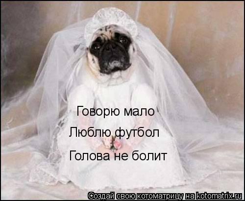 Котоматрица: Говорю мало Люблю футбол Голова не болит