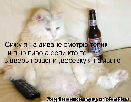 Котоматрица: Сижу я на диване смотрю телик и пью пиво,а если кто то в дверь позвонит,веревку я намылю