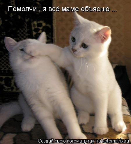 Котоматрица: Помолчи , я всё маме объясню ...