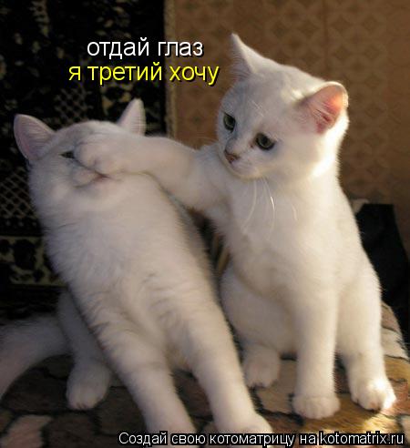 Котоматрица: отдай глаз я третий хочу
