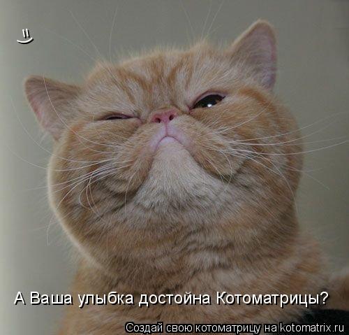 Котоматрица: А Ваша улыбка достойна Котоматрицы? =)