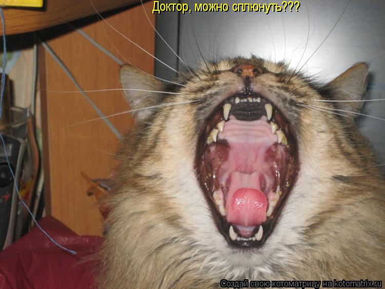 Котоматрица: Доктор, можно сплюнуть???