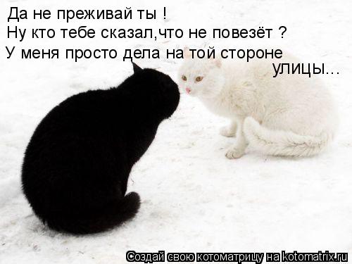 Котоматрица: Да не преживай ты ! Ну кто тебе сказал,что не повезёт ? У меня просто дела на той стороне улицы...