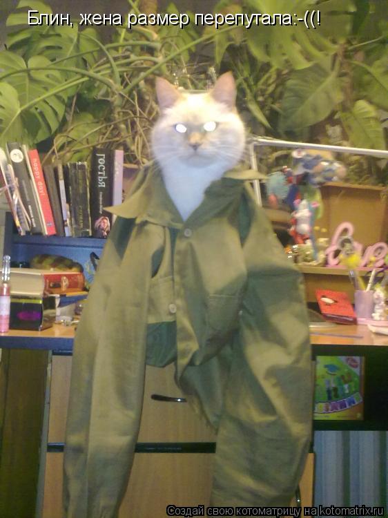 Котоматрица: Блин, жена размер перепутала:-((!
