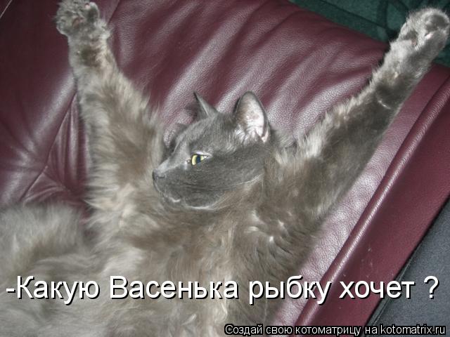 Котоматрица: -Какую Васенька рыбку хочет ?
