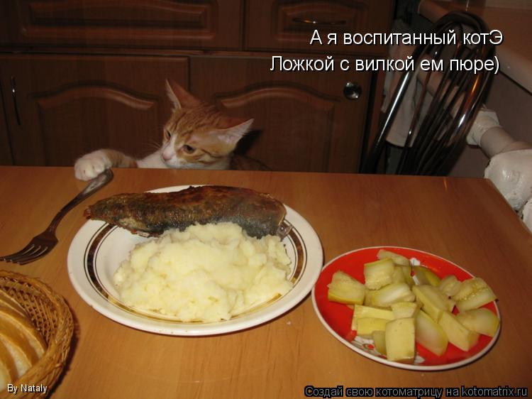 Котоматрица: А я воспитанный котЭ Ложкой с вилкой ем пюре) By Nataly