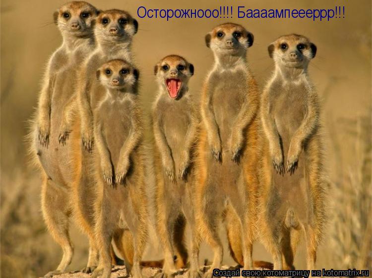 Котоматрица: Осторожнооо!!!! Баааампеееррр!!!