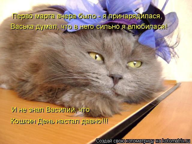 Перво марта вчера было - я принарядилася, Васька думал, что в него сильно я влюбилася! И не знал Васи... Котоматрица: Перво марта вчера было - я принарядилася, Васька думал, что в него сильно я влюбилася! И не знал Василий, что Кошкин День настал давно!!!
