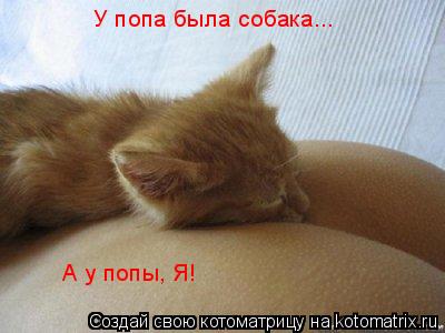 Котоматрица: У попа была собака... А у попы, Я!