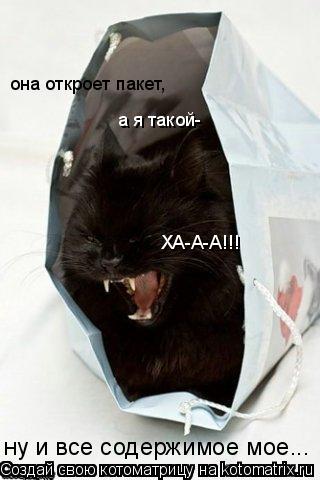 Котоматрица: она откроет пакет, а я такой- ХА-А-А!!! ну и все содержимое мое...