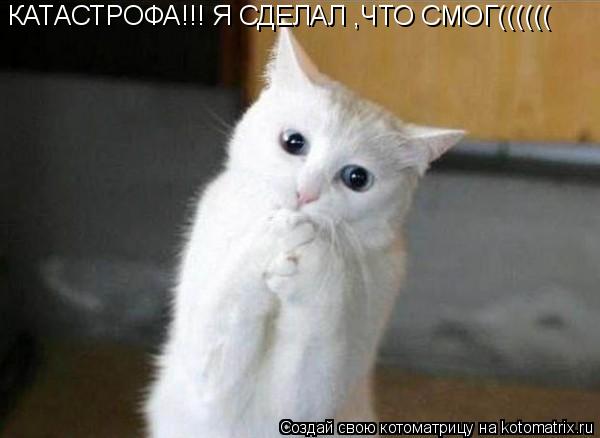 Котоматрица: КАТАСТРОФА!!! Я СДЕЛАЛ ,ЧТО СМОГ((((((