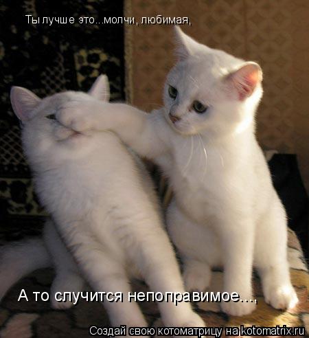 Котоматрица: Ты лучше это...молчи, любимая, А то случится непоправимое...,