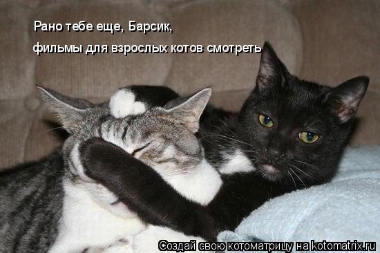 Котоматрица: фильмы для взрослых котов смотреть Рано тебе еще, Барсик,