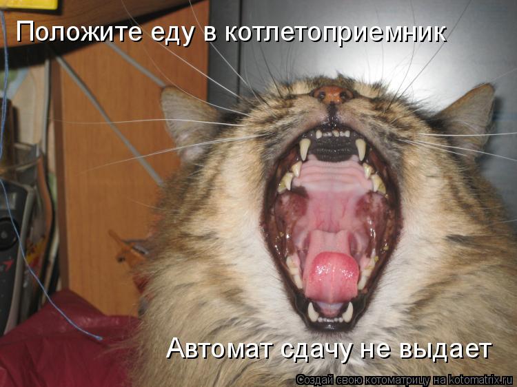 Котоматрица: Положите еду в котлетоприемник Автомат сдачу не выдает