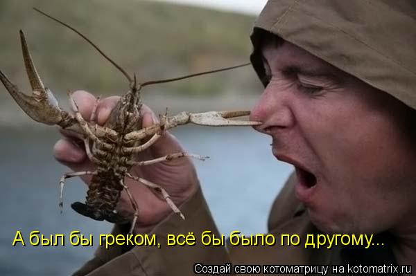 Котоматрица: А был бы греком, всё бы было по другому...