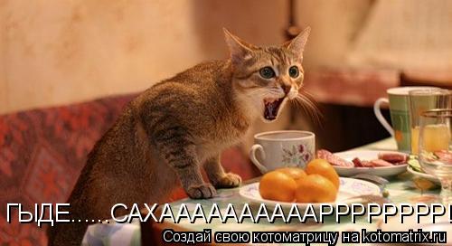 Котоматрица: ГЫДЕ......САХААААААААААРРРРРРРР!