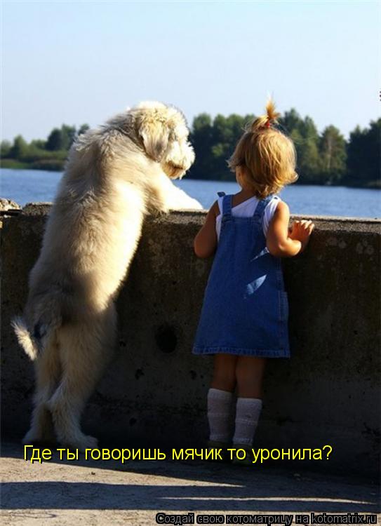 Котоматрица: Где ты говоришь мячик то уронила?