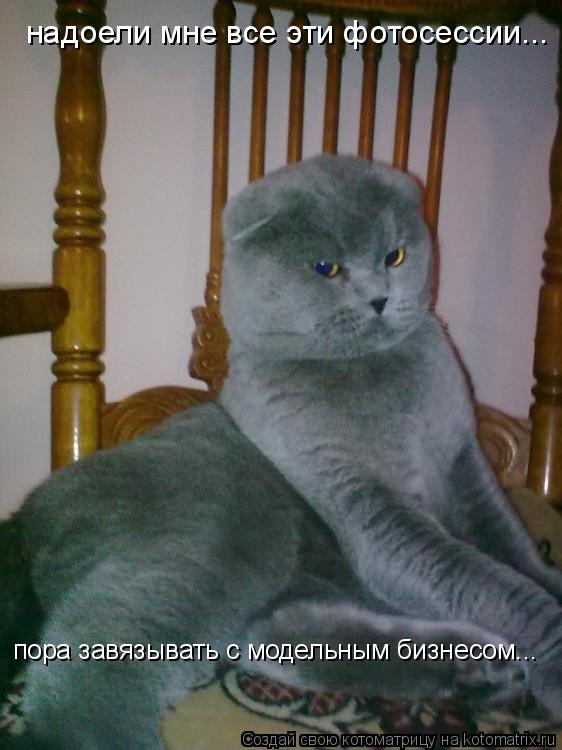 Котоматрица: надоели мне все эти фотосессии... пора завязывать с модельным бизнесом...