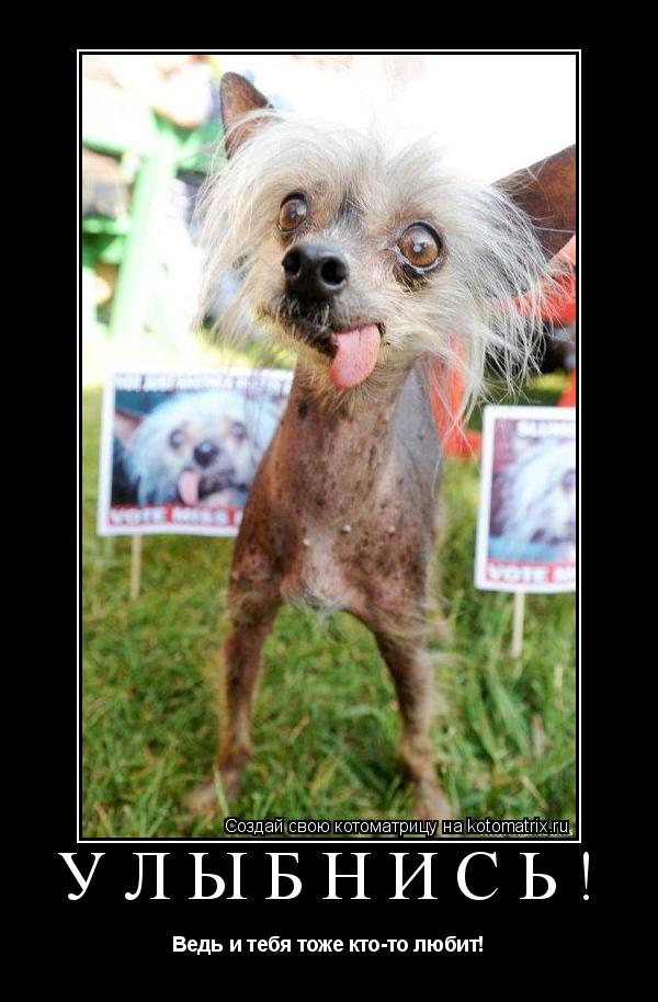Котоматрица: Улыбнись! Ведь и тебя тоже кто-то любит!