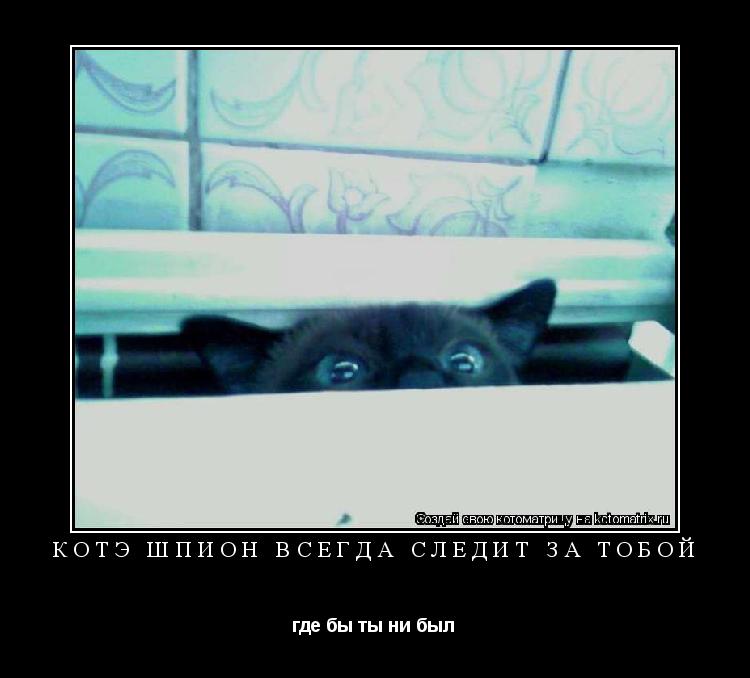 Котоматрица: КОТЭ ШПИОН ВСЕГДА СЛЕДИТ ЗА ТОБОЙ где бы ты ни был