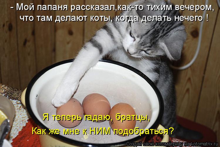 - Мой папаня рассказал,как-то тихим вечером, что там делают коты, когда делать нечего ! Я теперь гада... Котоматрица: - Мой папаня рассказал,как-то тихим вечером, что там делают коты, когда делать нечего ! Я теперь гадаю, братцы, Как же мне к НИМ подобраться?