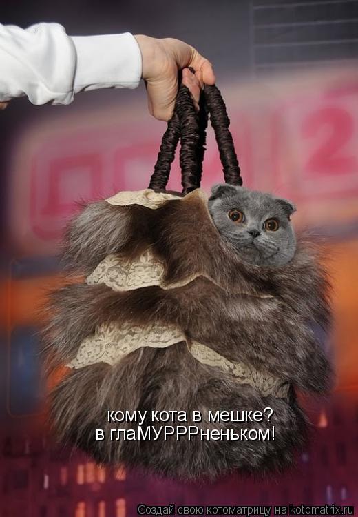 Котоматрица: кому кота в мешке? в глаМУРРРненьком!