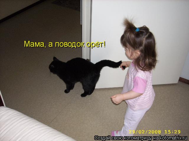 Котоматрица: Мама, а поводок орёт!