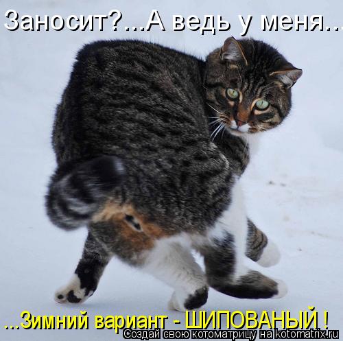 Заносит?...А ведь у меня... ...Зимний вариант - ШИПОВАНЫЙ !... Котоматрица: Заносит?...А ведь у меня... ...Зимний вариант - ШИПОВАНЫЙ !