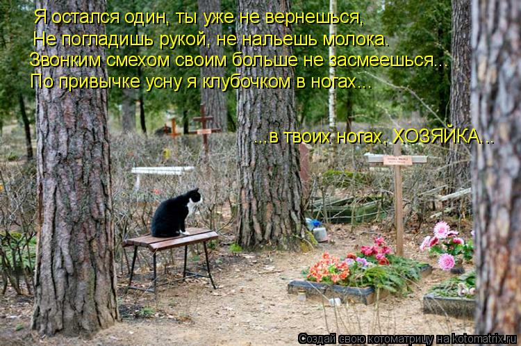 Я остался один, ты уже не вернешься, Не погладишь рукой, не нальешь молока. Звонким смехом своим боль... Котоматрица: Я остался один, ты уже не вернешься, Не погладишь рукой, не нальешь молока. Звонким смехом своим больше не засмеешься... По привычке усну я кл