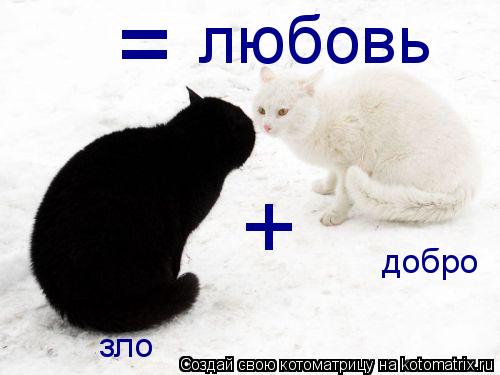 Котоматрица: зло добро + = любовь