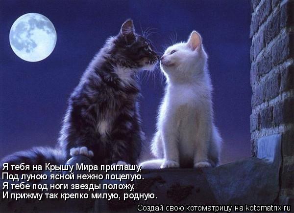 Я тебя на Крышу Мира приглашу, Под луною ясной нежно поцелую. Я тебе под ноги звезды положу, И прижму... Котоматрица: Я тебя на Крышу Мира приглашу, Под луною ясной нежно поцелую. Я тебе под ноги звезды положу, И прижму так крепко милую, родную.