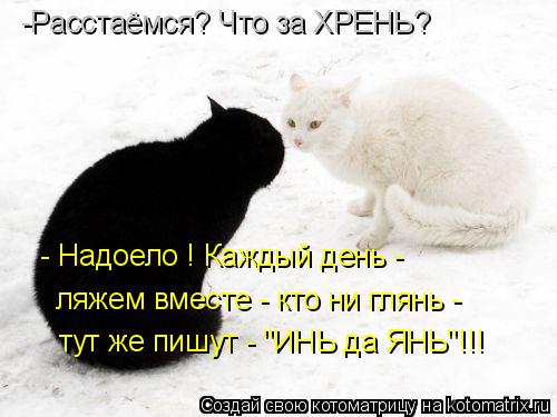 Котоматрица: -Расстаёмся? Что за ХРЕНЬ? - Надоело ! Каждый день - ляжем вместе - кто ни глянь - тут же пишут - "ИНЬ да ЯНЬ"!!!