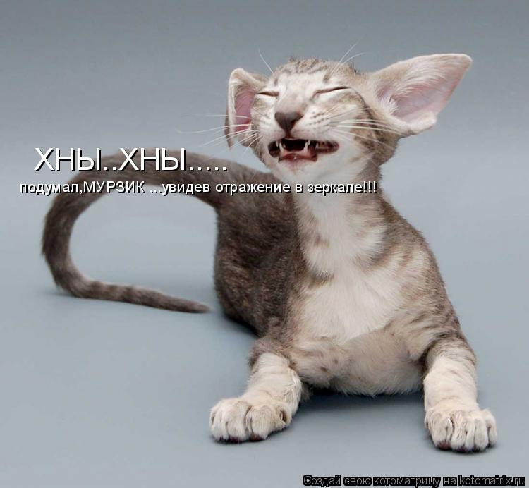Котоматрица: ХНЫ..ХНЫ..... подумал,МУРЗИК ...увидев отражение в зеркале!!!