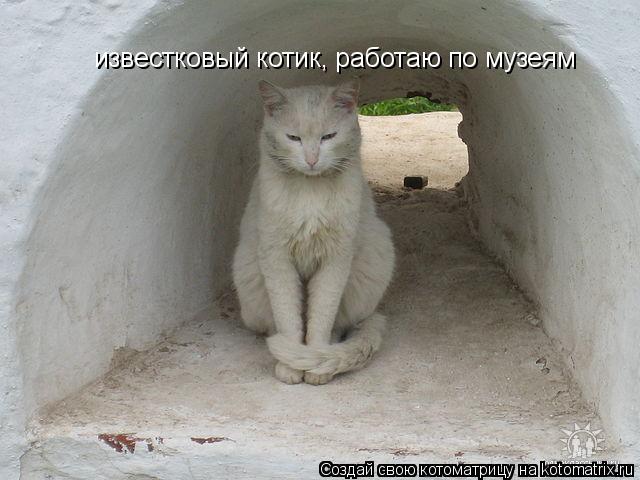 Котоматрица: известковый котик, работаю по музеям