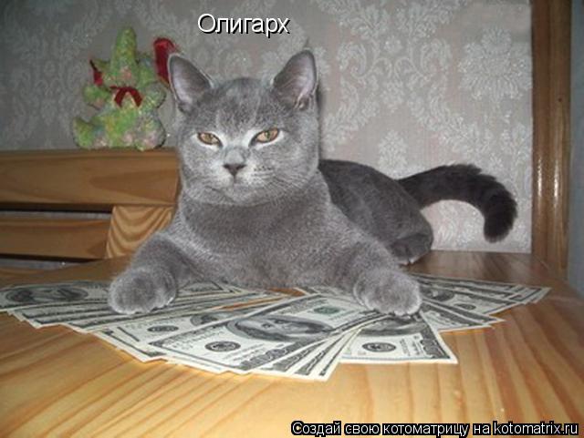 Котоматрица: Олигарх