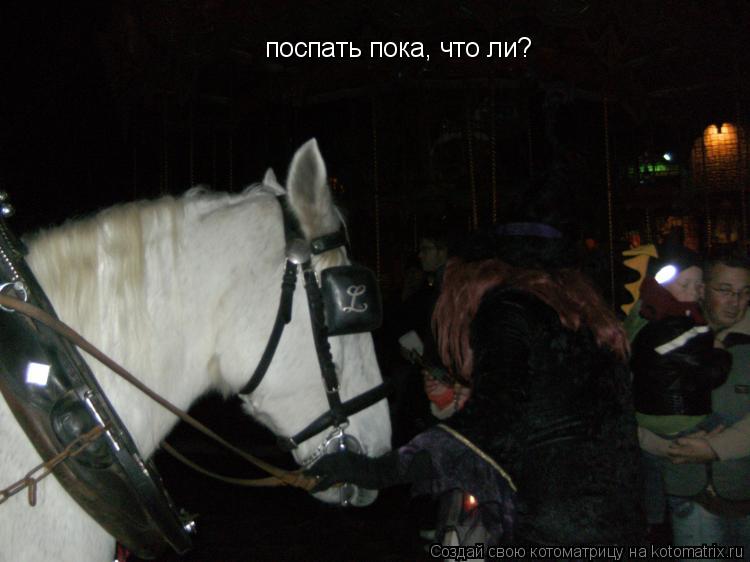 Котоматрица: поспать пока, что ли?