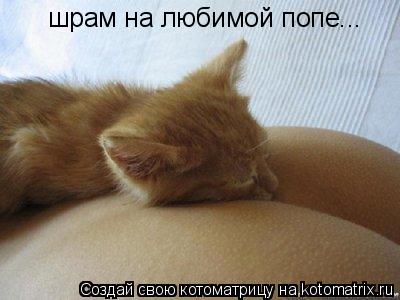 Котоматрица: шрам на любимой попе...