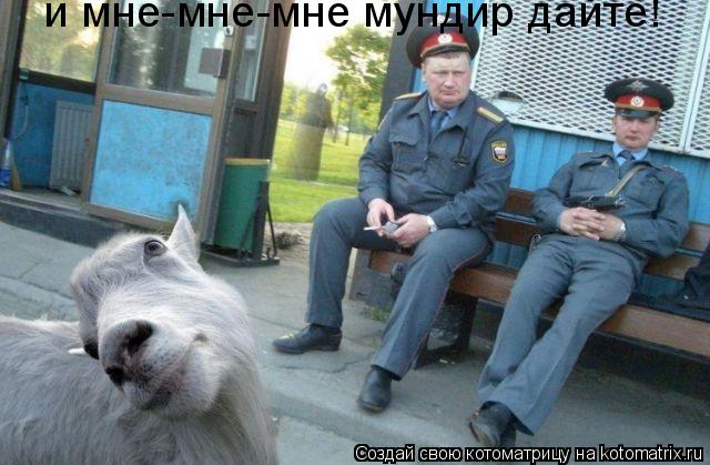 Котоматрица: и мне-мне-мне мундир дайте!