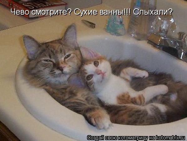 Котоматрица: Чево смотрите? Сухие ванны!!! Слыхали?