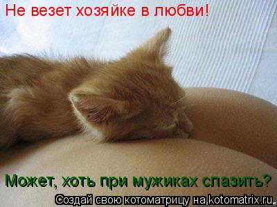Котоматрица: Не везет хозяйке в любви! Может, хоть при мужиках слазить?